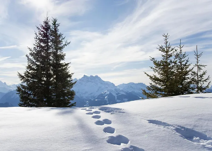 Appartement Grand A18 By Interhome *